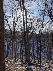 A winter view of looking from one snowy, wooded ridge across a valley to another snowy, wooded ridge. The Winter Sun shines through a fork in the trunk of a tree, with whispy clouds whitening the sky.