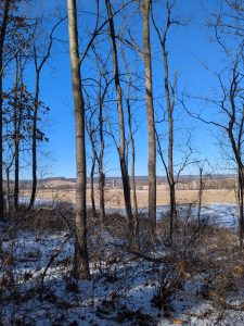 A winter view of looking through some trees towards a field and far off ridgeline.
